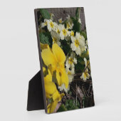 白と黄色の庭の花 フォトプラーク (側面)