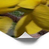 白と黄色の庭の花 ポスター (コーナー)