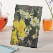 白と黄色の庭の花 台座サイン (インサイチュ)