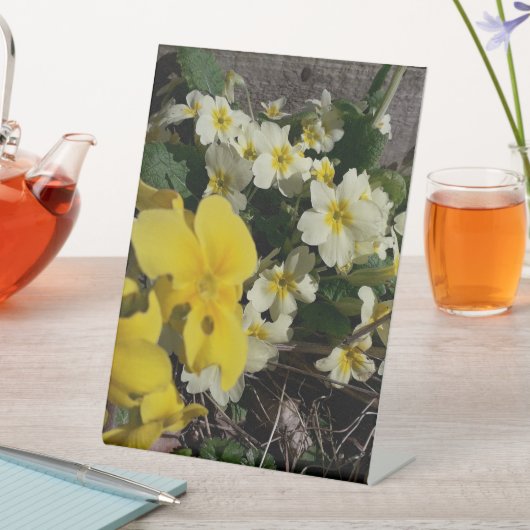 白と黄色の庭の花 台座サイン (インサイチュ)