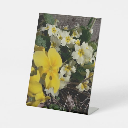 白と黄色の庭の花 台座サイン (正面)
