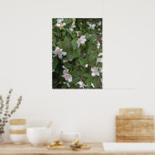 白と黄色の花の写真 ポスター (キッチン)