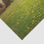 白と黄色の花畑がある日没の農場 薄葉紙 (詳細)