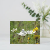 白と黄色の野生の花DIYはがき ポストカード (スタンド正面)