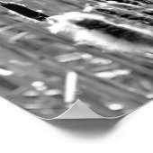 白と黒のふわふわのcattails ポスター (角)