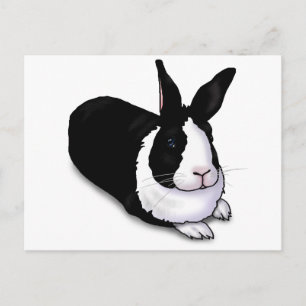 白と黒のウサギ ポストカード