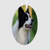 白と黒のコリ縁どー犬 オーナメント (正面)
