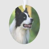 白と黒のコリ縁どー犬 オーナメント (正面)
