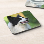 白と黒のコリ縁どー犬 コースター (左側)