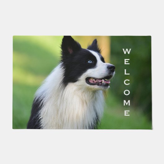 白と黒のコリ縁どー犬 ドアマット (正面)