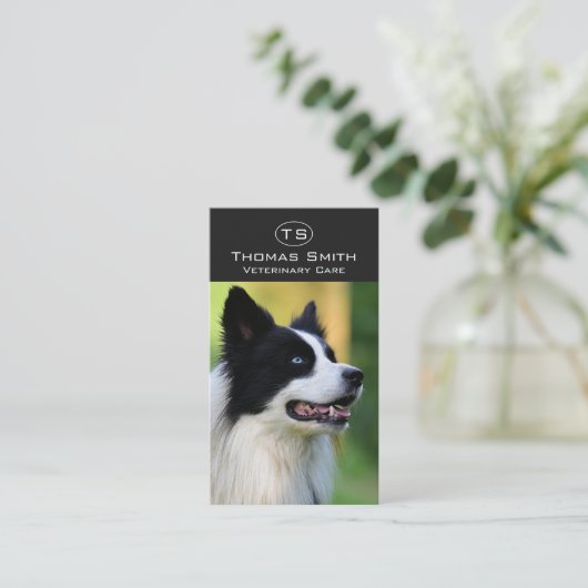 白と黒のコリ縁どー犬 名刺 (スタンド正面)