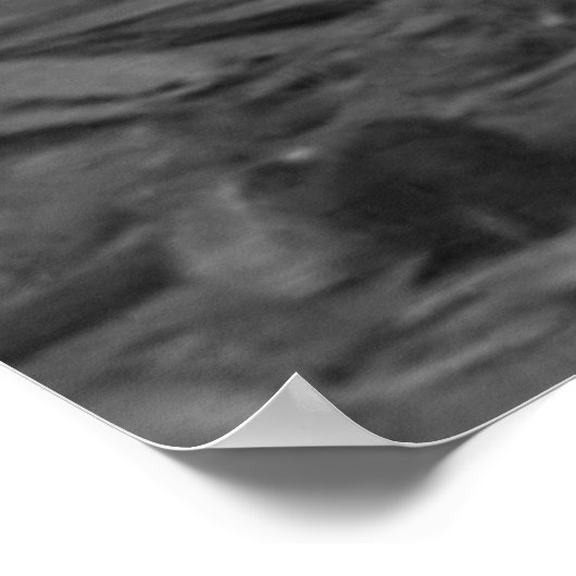 白と黒のシルキーチキンと黄色のチックス ポスター (角)