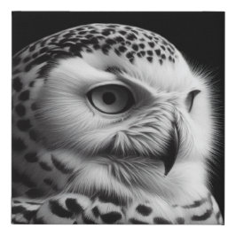 白と黒のスノーフクロウ フェイクキャンバスプリント