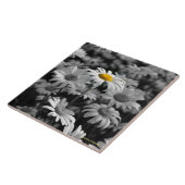 白と黒のデイジーの海の黄色のデイジー。 タイル (側面)