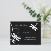 白と黒のトンボは日付を保存 案内ポストカード (スタンド正面)