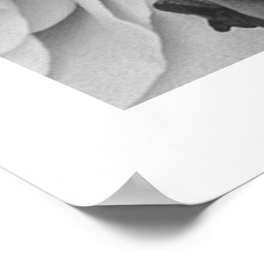 白と黒のバラのパターン大 ポスター (角)