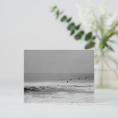 白と黒のポストカードにペリカンと波 ポストカード (スタンド正面)