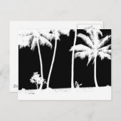白と黒のヤシの木 ポストカード (正面/裏面)