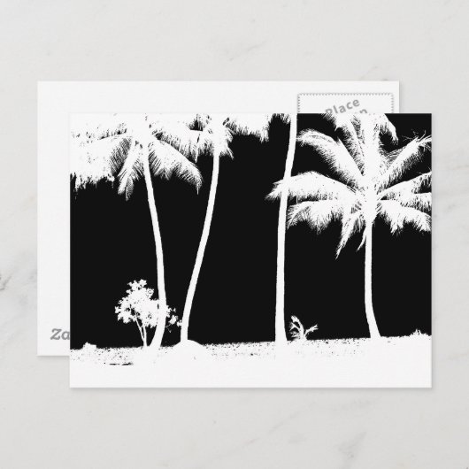 白と黒のヤシの木 ポストカード (正面/裏面)