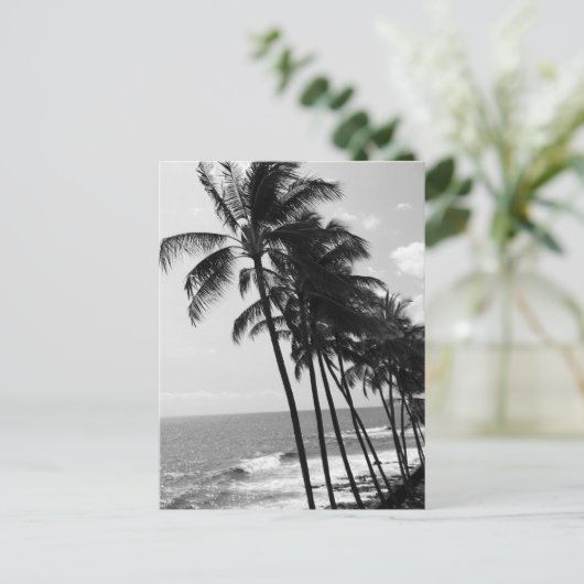 白と黒のヤシの木 ポストカード (スタンド正面)