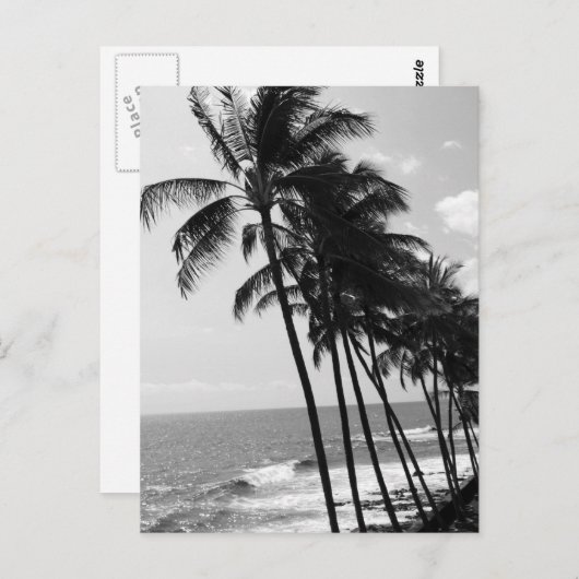 白と黒のヤシの木 ポストカード (正面/裏面)