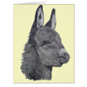 白と黒の写真のかわいいロバ (正面)