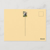 白と黒の可愛いベビーが草原に寝ている。 ポストカード (裏面)