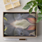 白と黒の可愛いベビーが草原に寝ている。 薄葉紙 (ギフト)