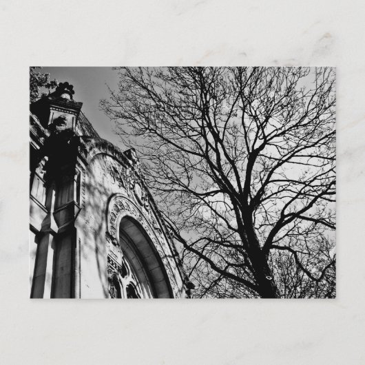 白と黒の墓地の美しい日 ポストカード (正面)