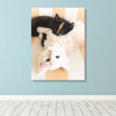 白と黒の子猫 キャンバスプリント (インサイチュ (ウッドフロア))