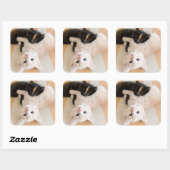 白と黒の子猫 スクエアシール (シート)