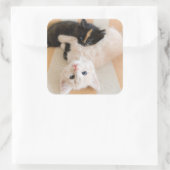 白と黒の子猫 スクエアシール (バッグ)