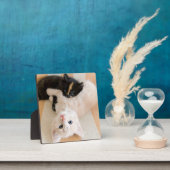 白と黒の子猫 フォトプラーク (インサイチュ)