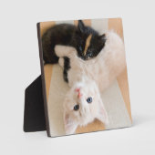 白と黒の子猫 フォトプラーク (正面)