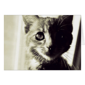 白と黒の広い昼間に