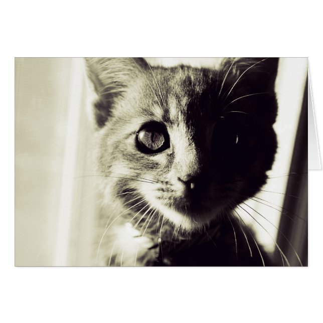 白と黒の広い昼間に (正面横)