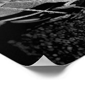 白と黒の昆虫のカティディッド・バッタ ポスター (角)