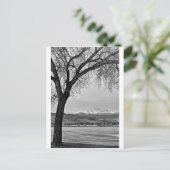 白と黒の湖の向こう ポストカード (スタンド正面)