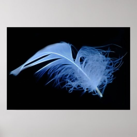 白と黒の白の白いアネギの羽 ポスター (正面)