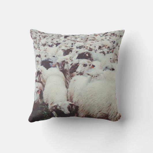 白と黒の羊の群れ クッション (裏面)