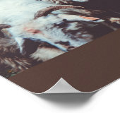 白と黒の羊の群れ ポスター (角)