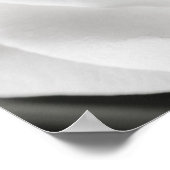 白と黒の美しいバラ ポスター (角)