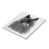 白と黒の美しいペルシャ猫 タイル (側面)