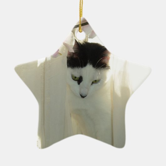 白と黒の美しい猫 セラミックオーナメント (正面)