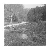 白と黒の自然スケッチ タイル (正面)