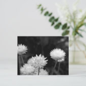 白と黒の花 ポストカード (スタンド正面)