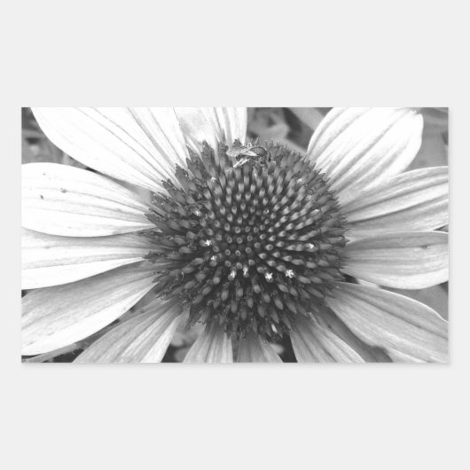 白と黒の花 長方形シール (正面)