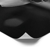 白と黒の蘭の花写真 ポスター (角)