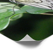 白と黒の蝶プリント ポスター (角)