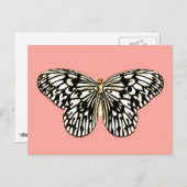 白と黒の蝶、コーラルピンク背景 ポストカード (正面/裏面)